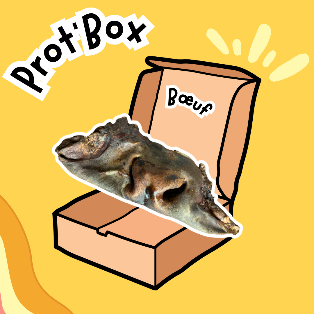 Prot'Box