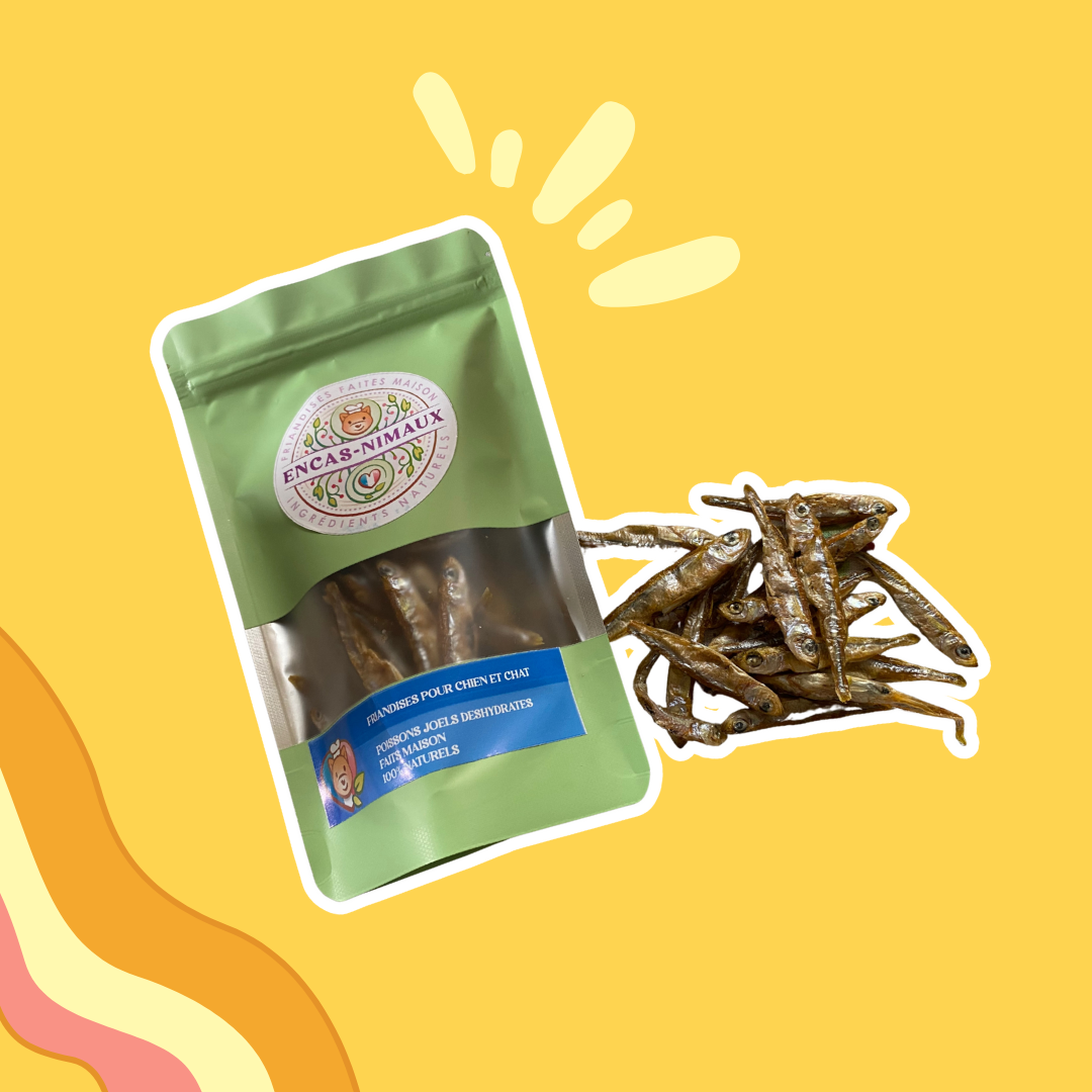 Joëls - Friandises faîtes maison - ENCASNIMAUX