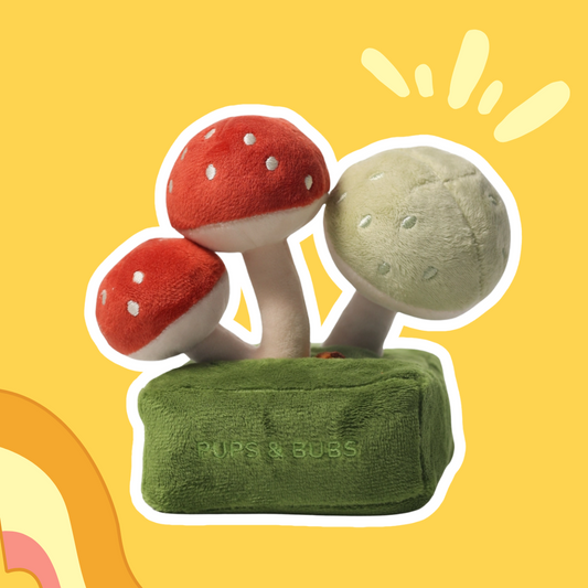 Forest Mushroom