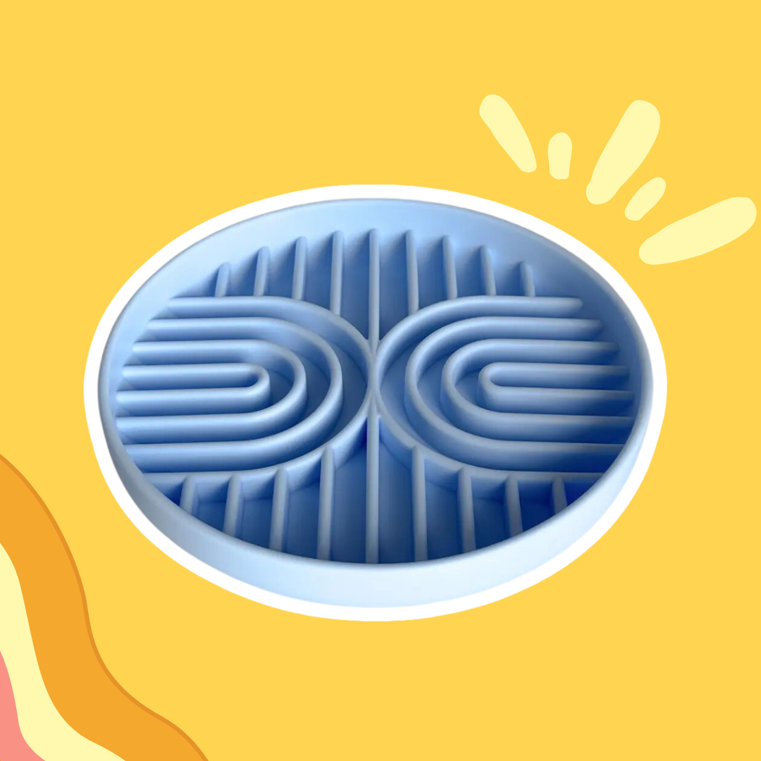 Rainbow - Gamelle Anti- Glouton