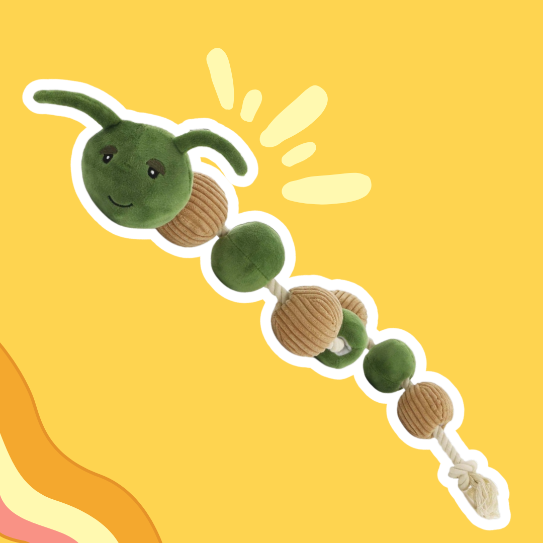 Jean Claude la chenille