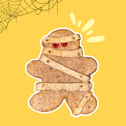 Biscuit Momie