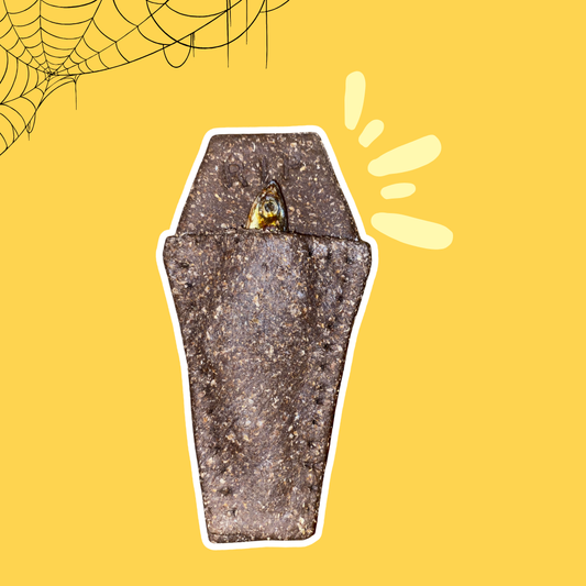 Biscuit Enterrement d'Anchois