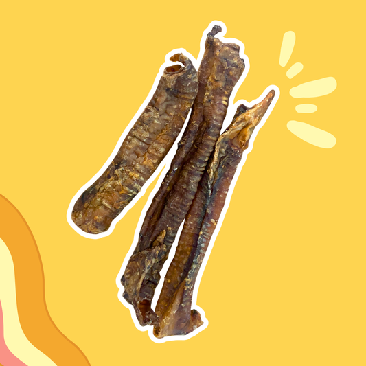 Trachées de chèvre