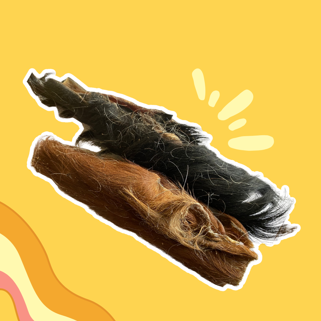 Peau de Bœuf avec poils