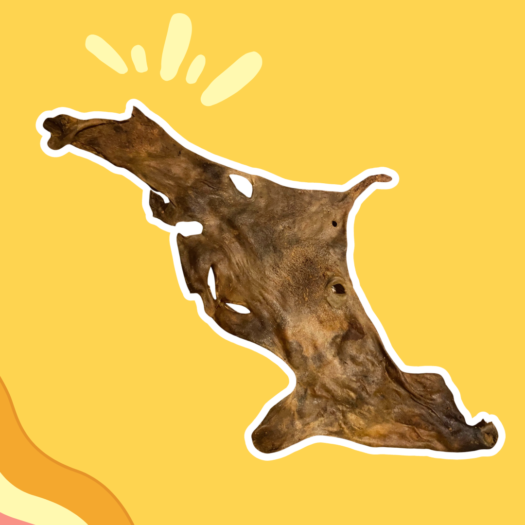 Plaque de Peau de Chèvre