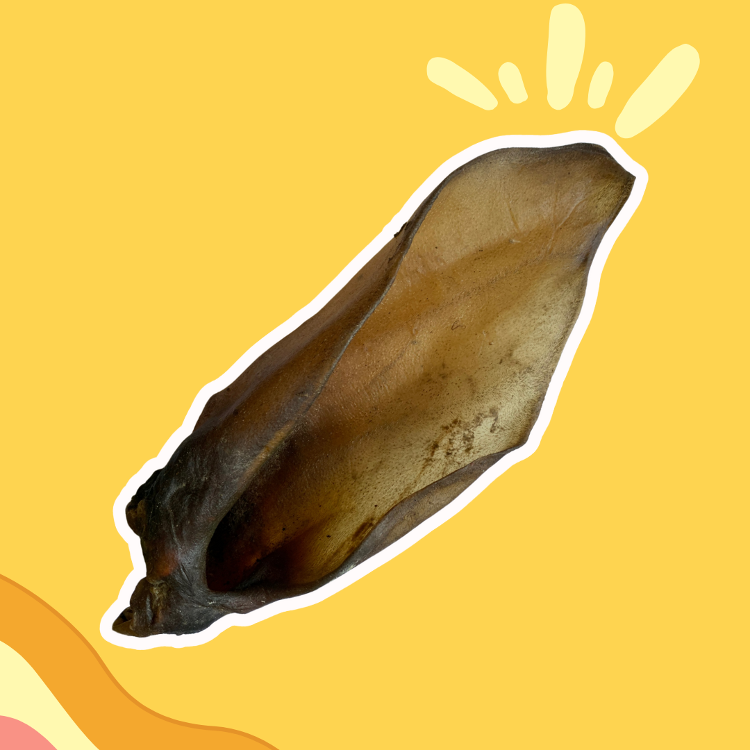 Oreille de Bœuf