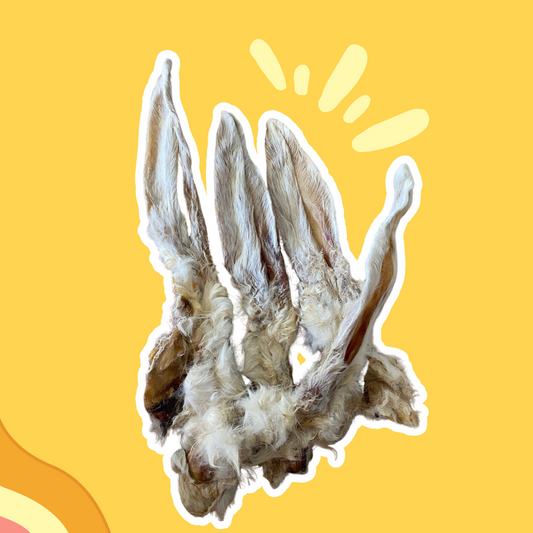 Oreille de Lapin