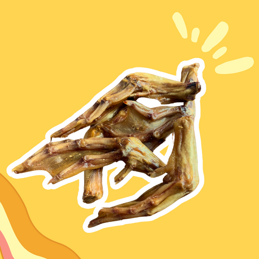 Pattes de canard
