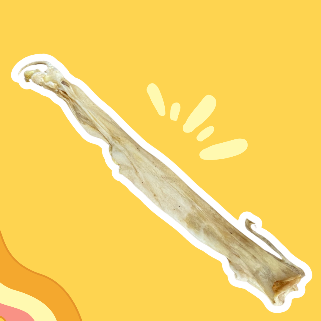 Peau de lapin en 50 cm