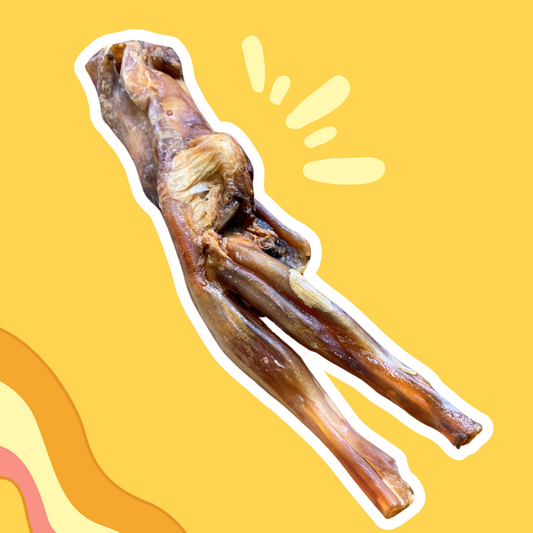 Tendons d'Achille de Bœuf