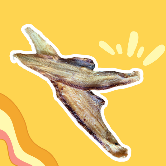 Filets de Sole