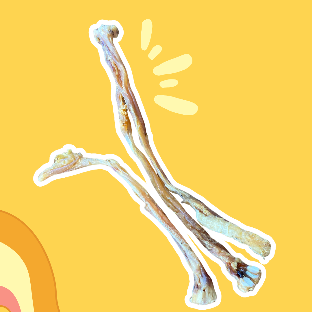 Tendons d'Achille de chèvre