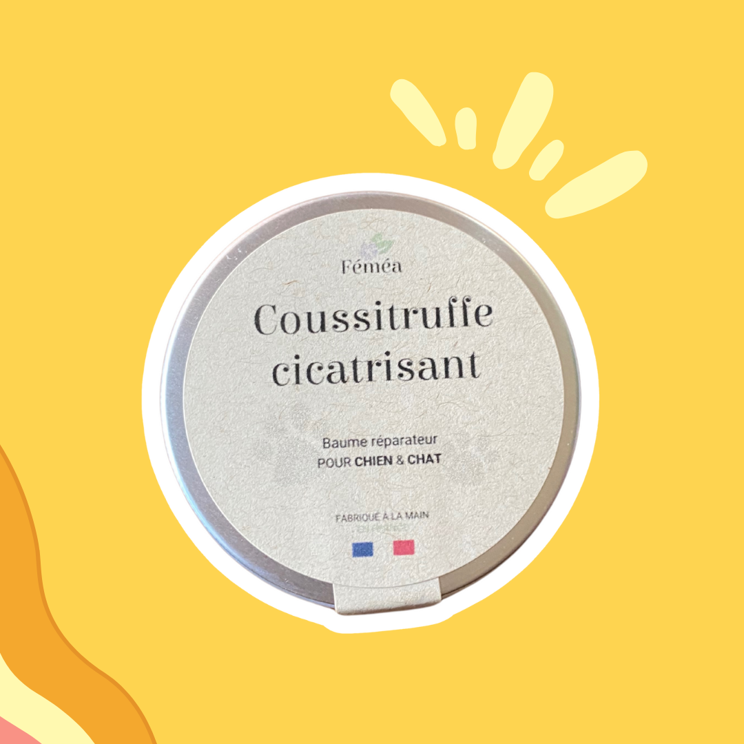 Baume Coussitruffe