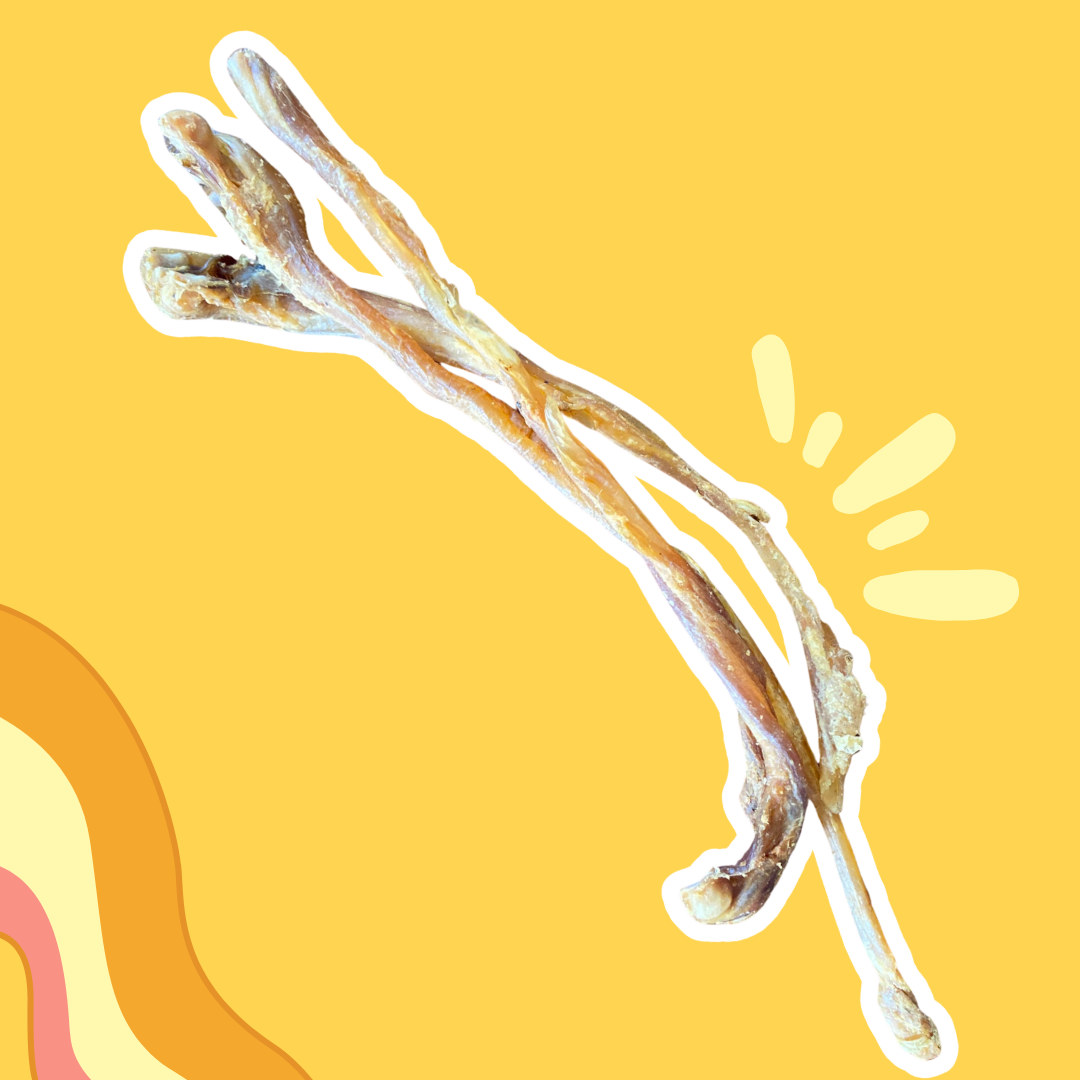 Tendons d'Achille d'agneau