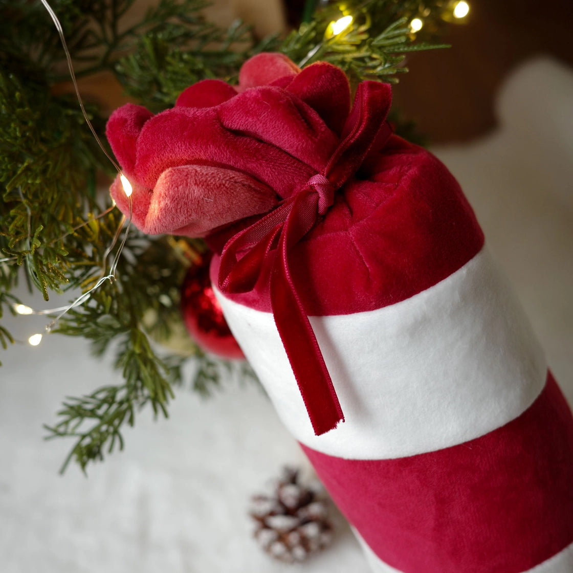 Crackers - Pups & Bud (Précommande 25 novembre)