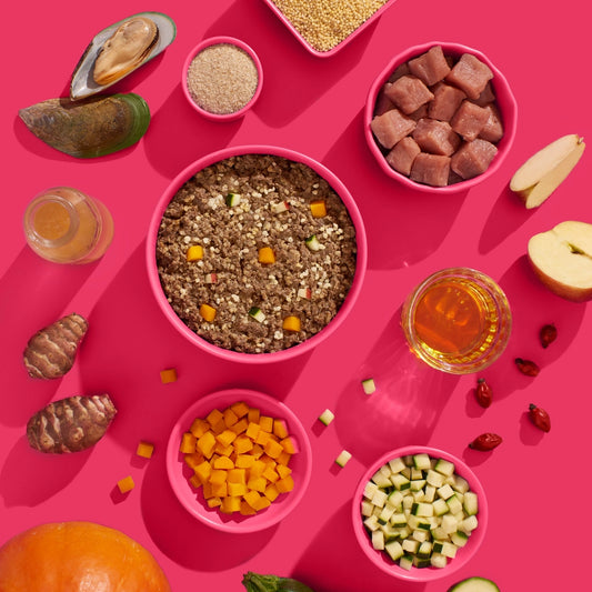 Fred Meal Porc & Potiron