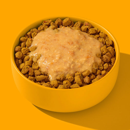 Smoothie Poulet & Curcuma