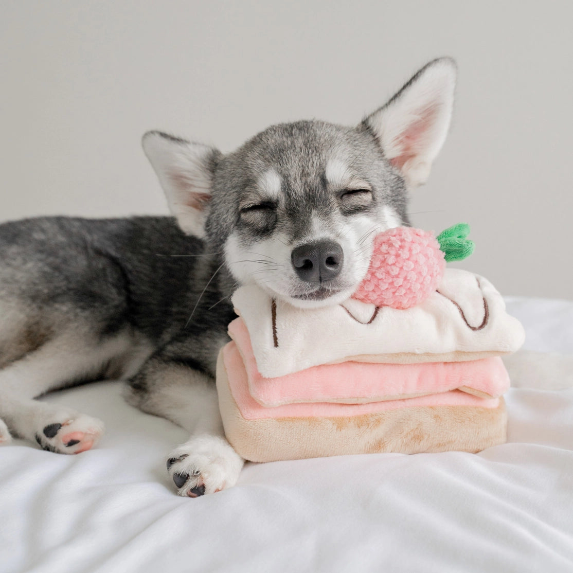 Jouet de fouille - Millefeuille à la Fraise - Pups & Bud