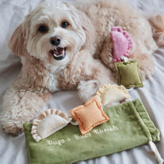 Jouet de fouille - Ravioli - Pups & Bud