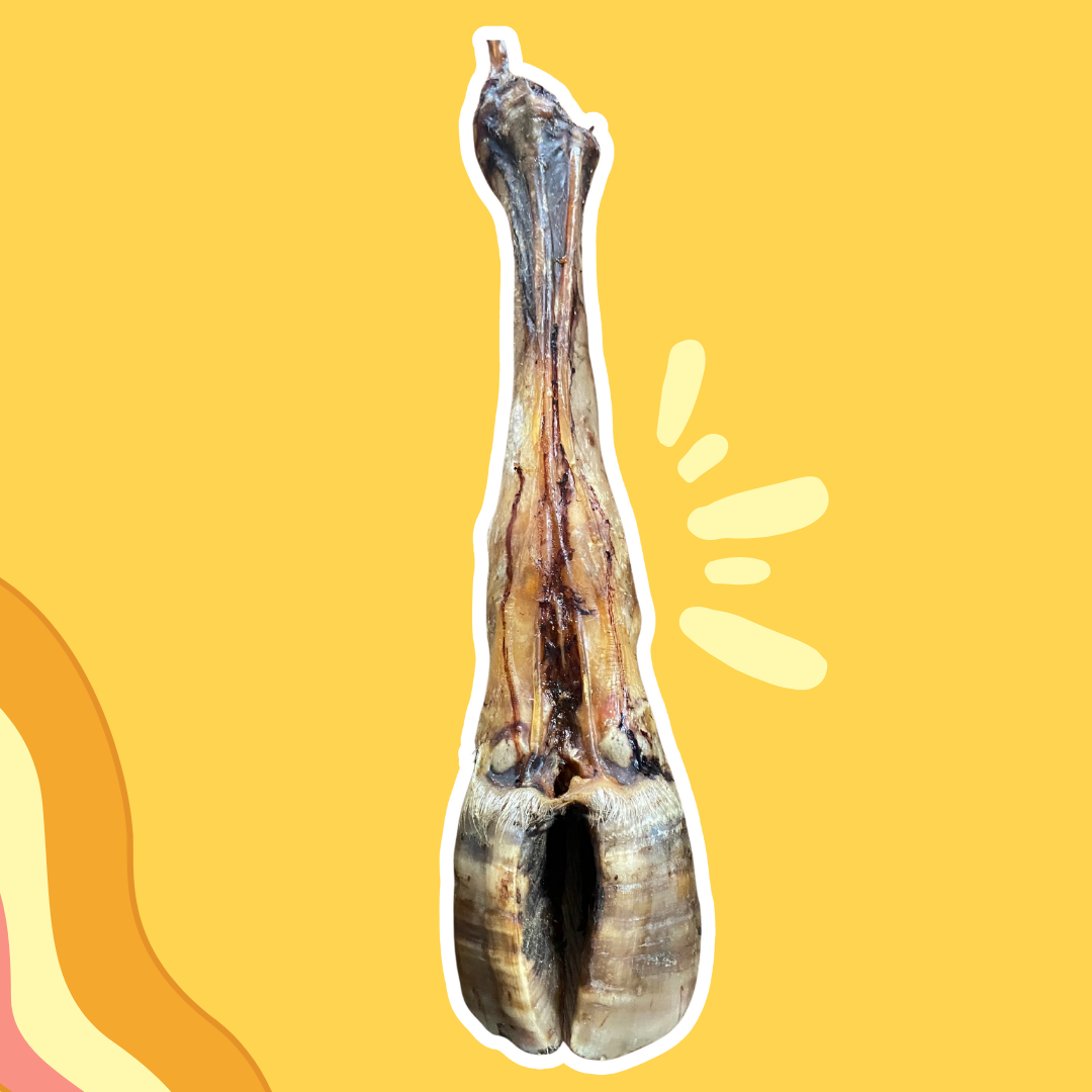 Patte de Bœuf ENOOOOOMEEEE !