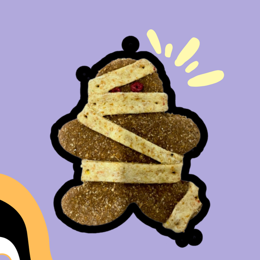 Biscuit Momie