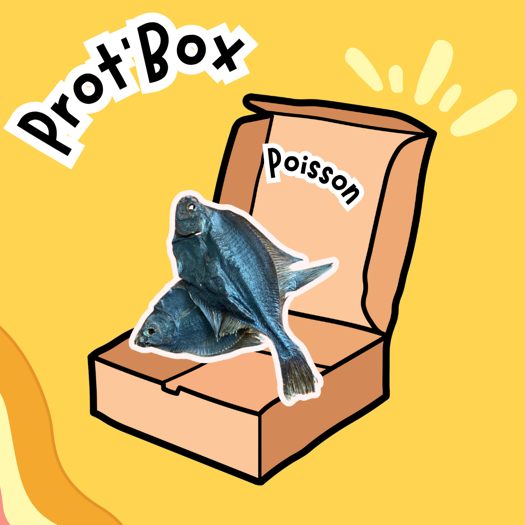 Prot'Box
