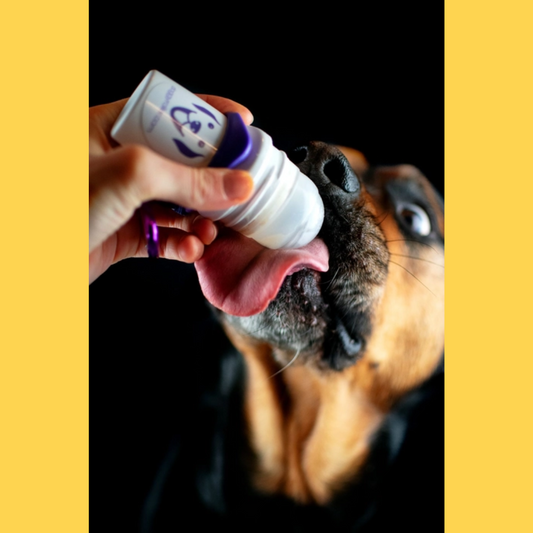 Doggy Roller