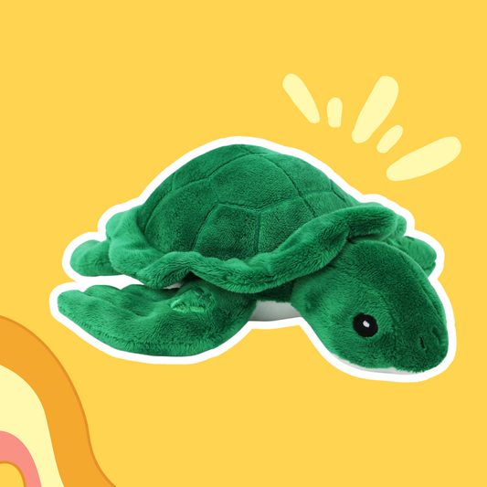 Sammy la tortue
