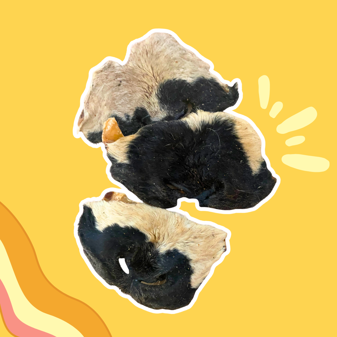 Museaux d'agneau avec poils