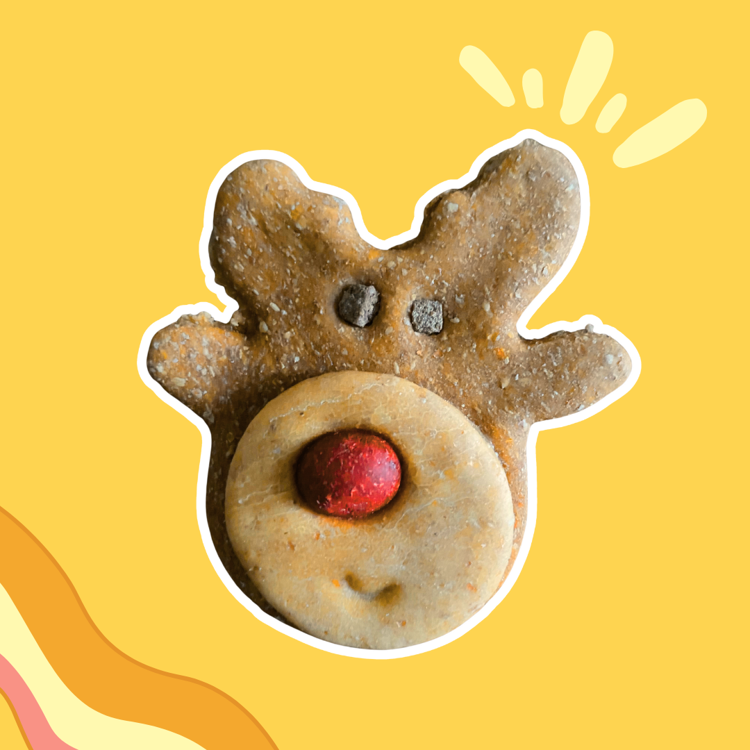 Biscuit Rudolph