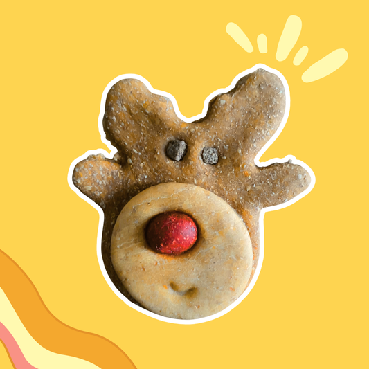 Biscuit Rudolph