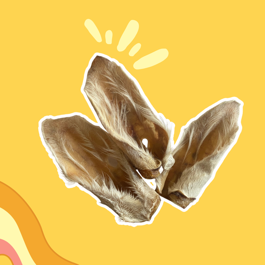 Oreilles de chèvre avec poils