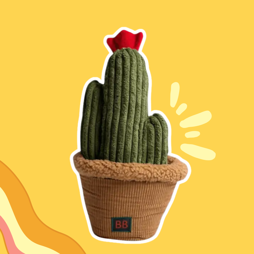 Jouet de fouille Pawtanic Garden - Cactus