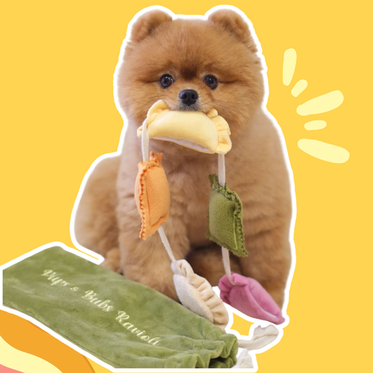 Jouet de fouille - Ravioli - Pups & Bud