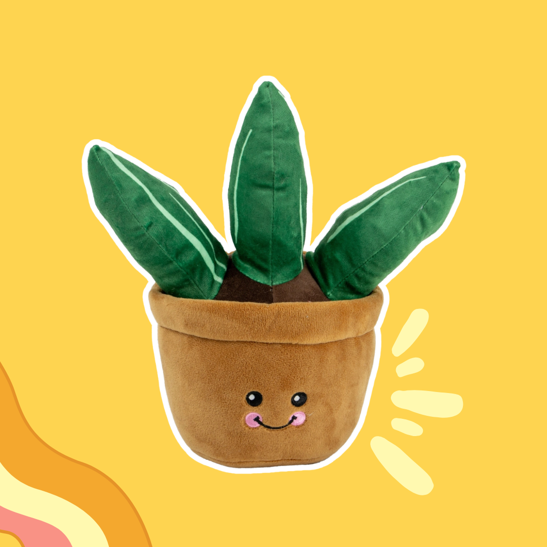 Farah l'Aloe Vera