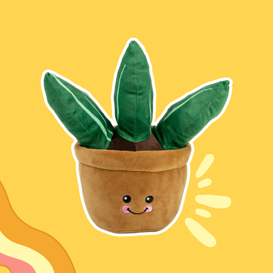 Farah l'Aloe Vera