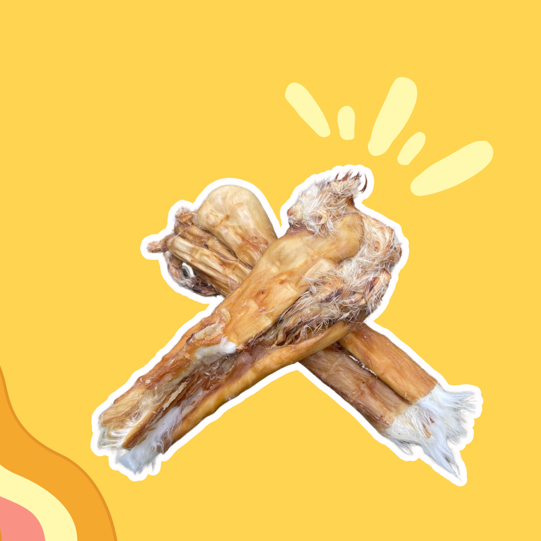 Peau de lapin avec poils