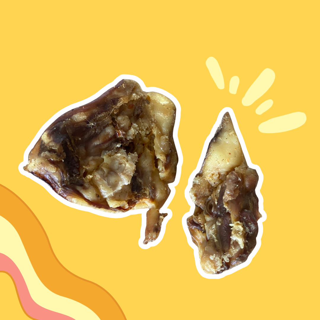 Pavillons d'oreilles de porc