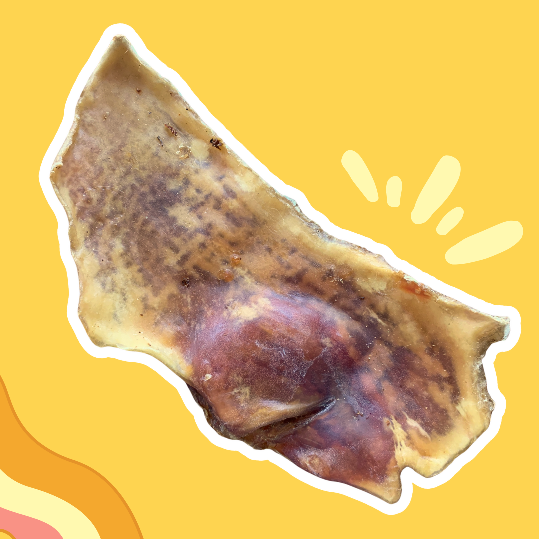 Plaque de peau de Bœuf