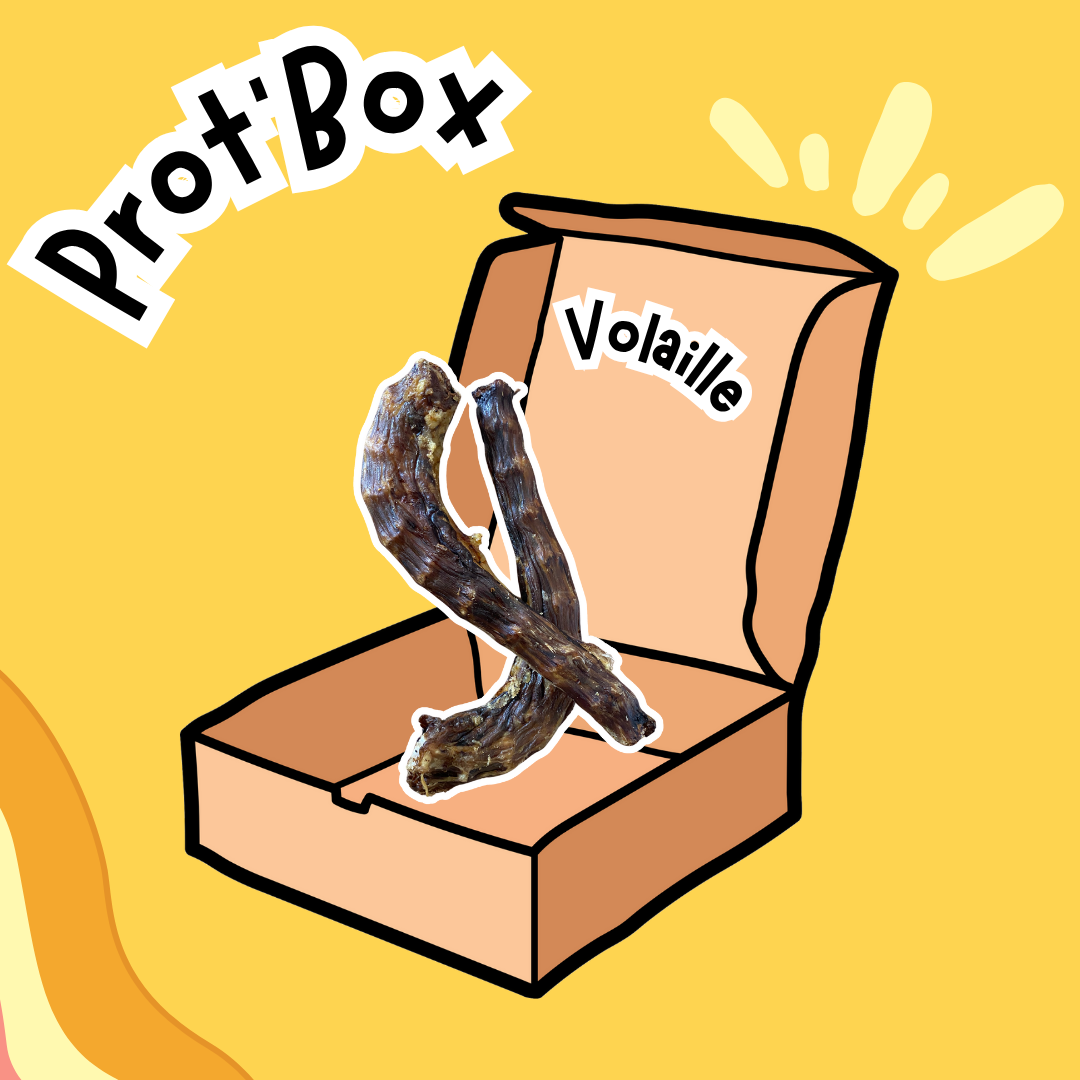 Prot'Box