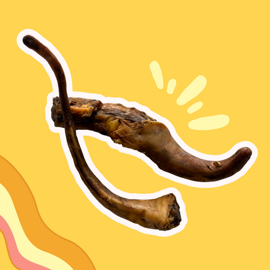Queues de Porc