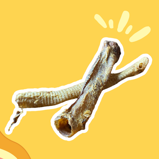 Trachées d'agneau