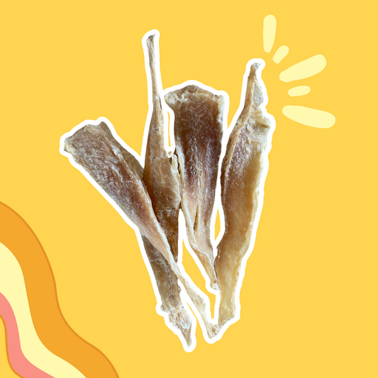 Filet de Panga