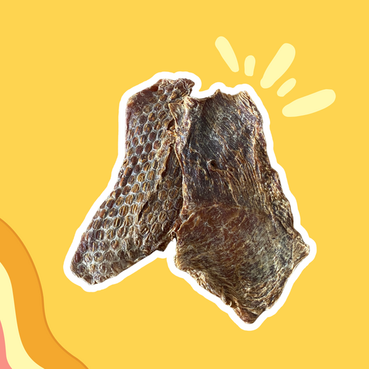 Filets de Dinde