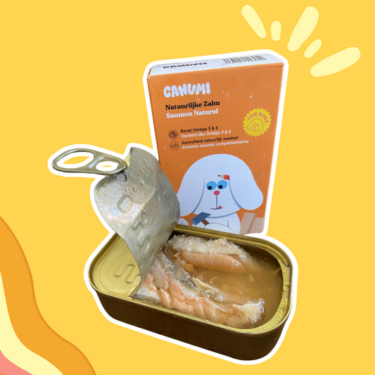 Saumon