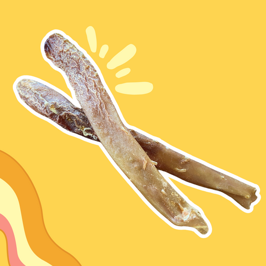 Aorte de bœuf