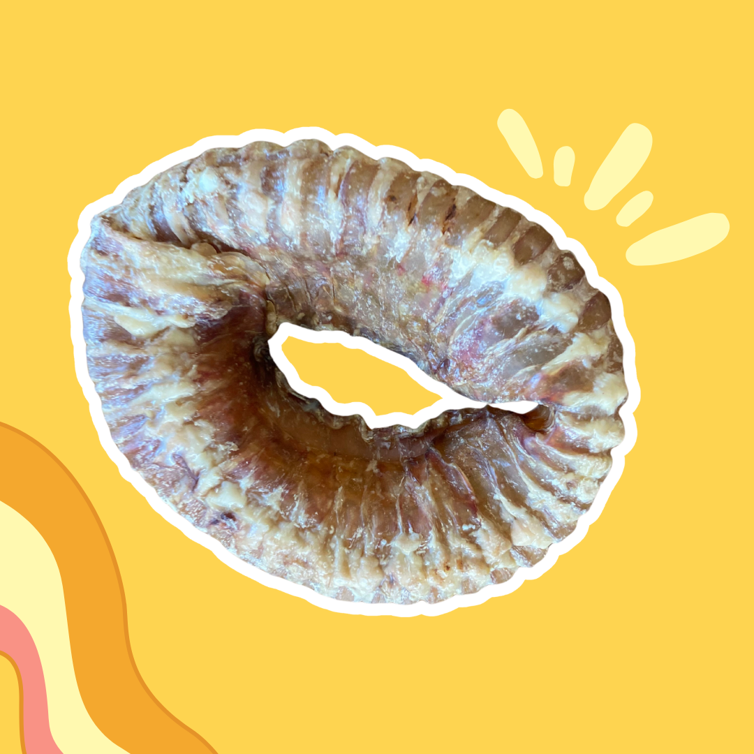 Donuts de Trachée de Boeuf