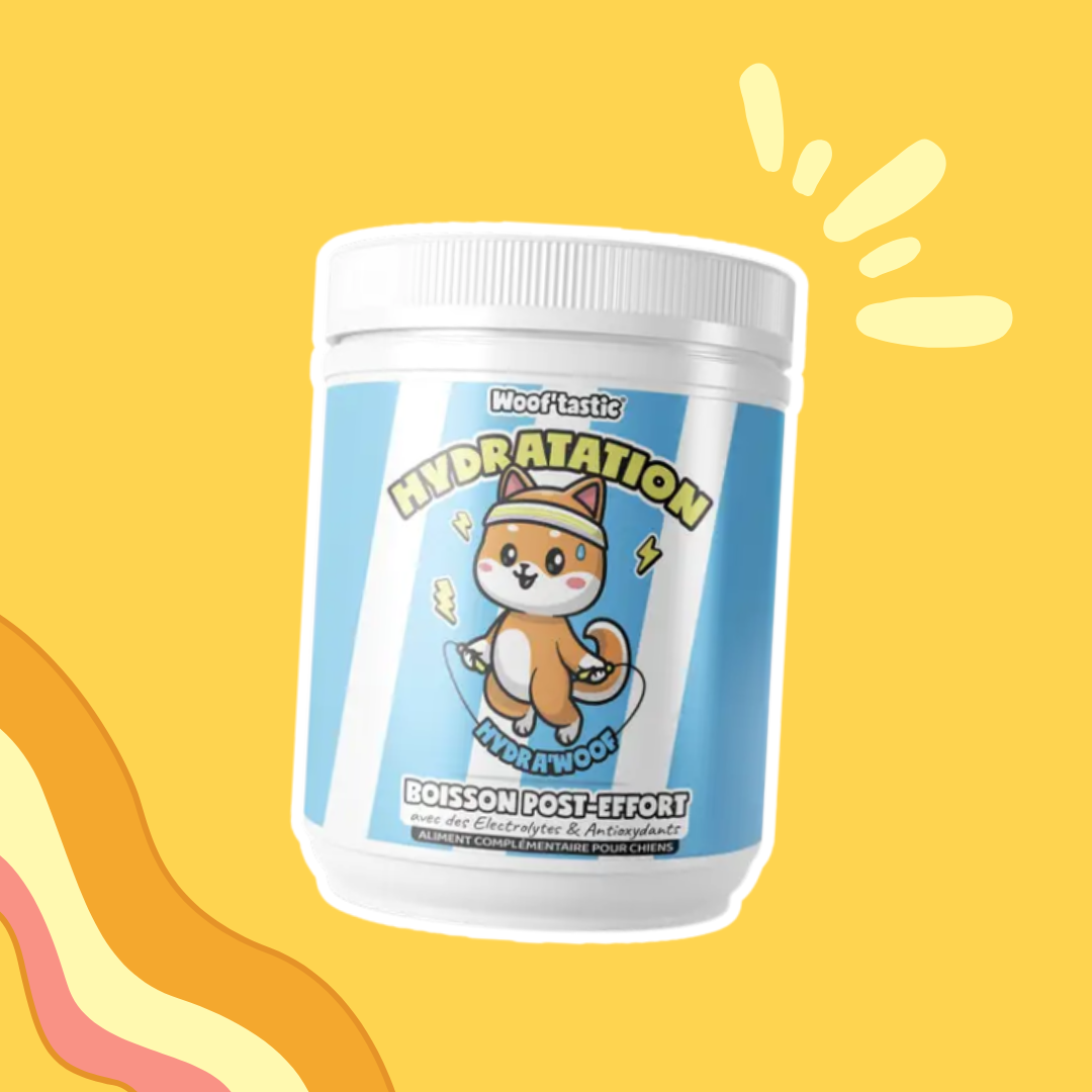 Hydra'woof - Boisson hydratante post-effort pour chien