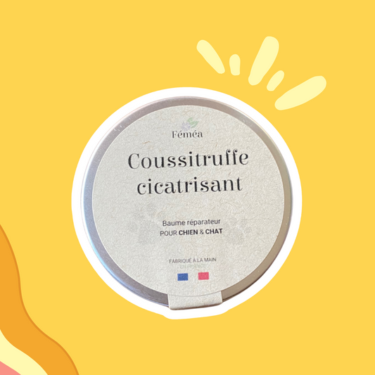 Baume Coussitruffe